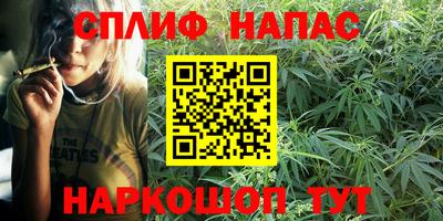 spice Гагарин